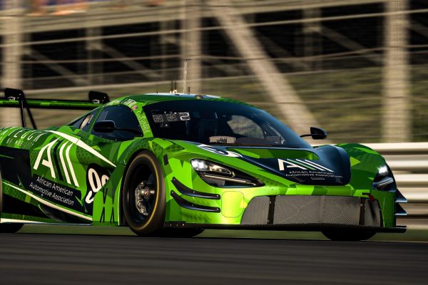 Mclaren By AMR.PAINTWORKS (12 of 15)