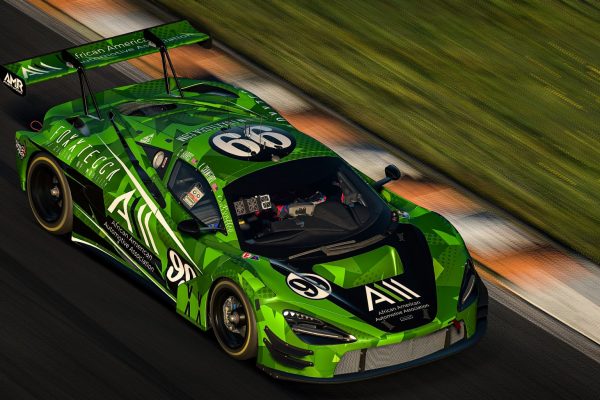 Mclaren By AMR.PAINTWORKS (13 of 15)