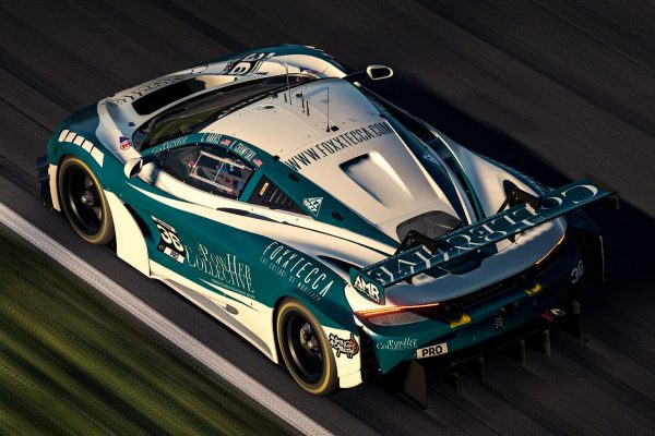 Mclaren By AMR.PAINTWORKS (9 of 15)